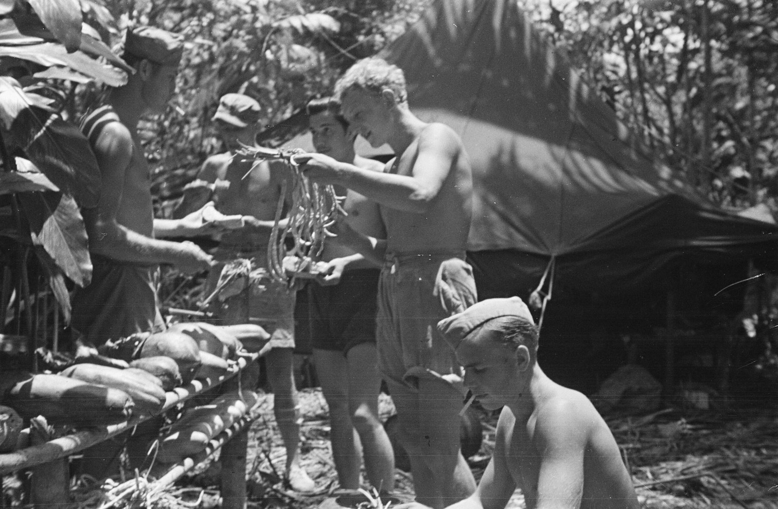 No momento, você está visualizando Como improvisar abrigo de sobrevivência em mata fechada usando poucos recursos